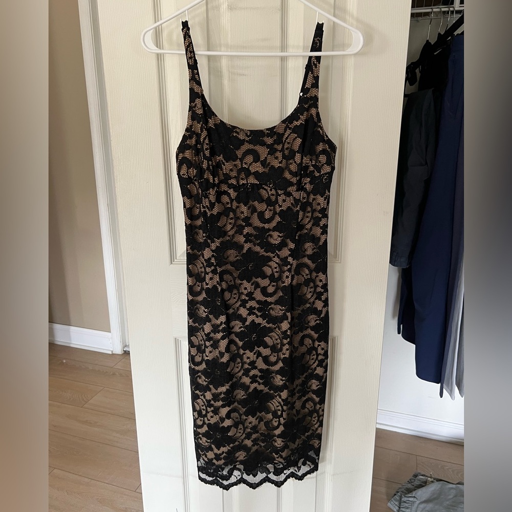 A.B.S Collectors Lace Dress.